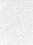 Pinturas